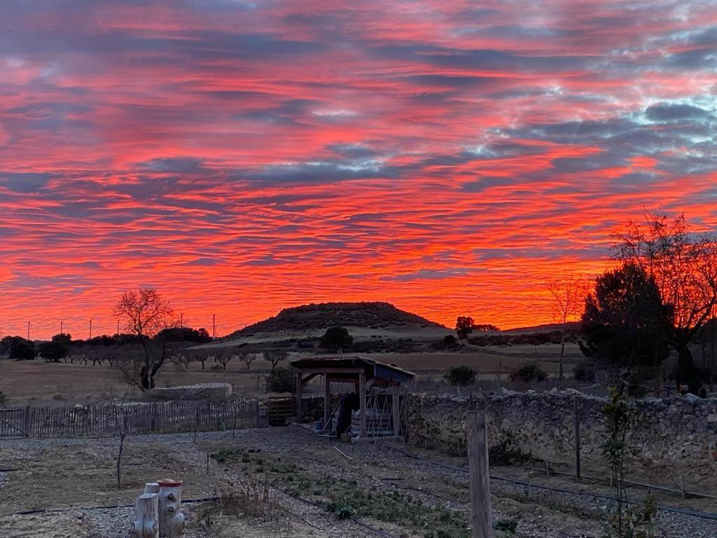 Finca Las Botas Almansa Zewnętrze zdjęcie