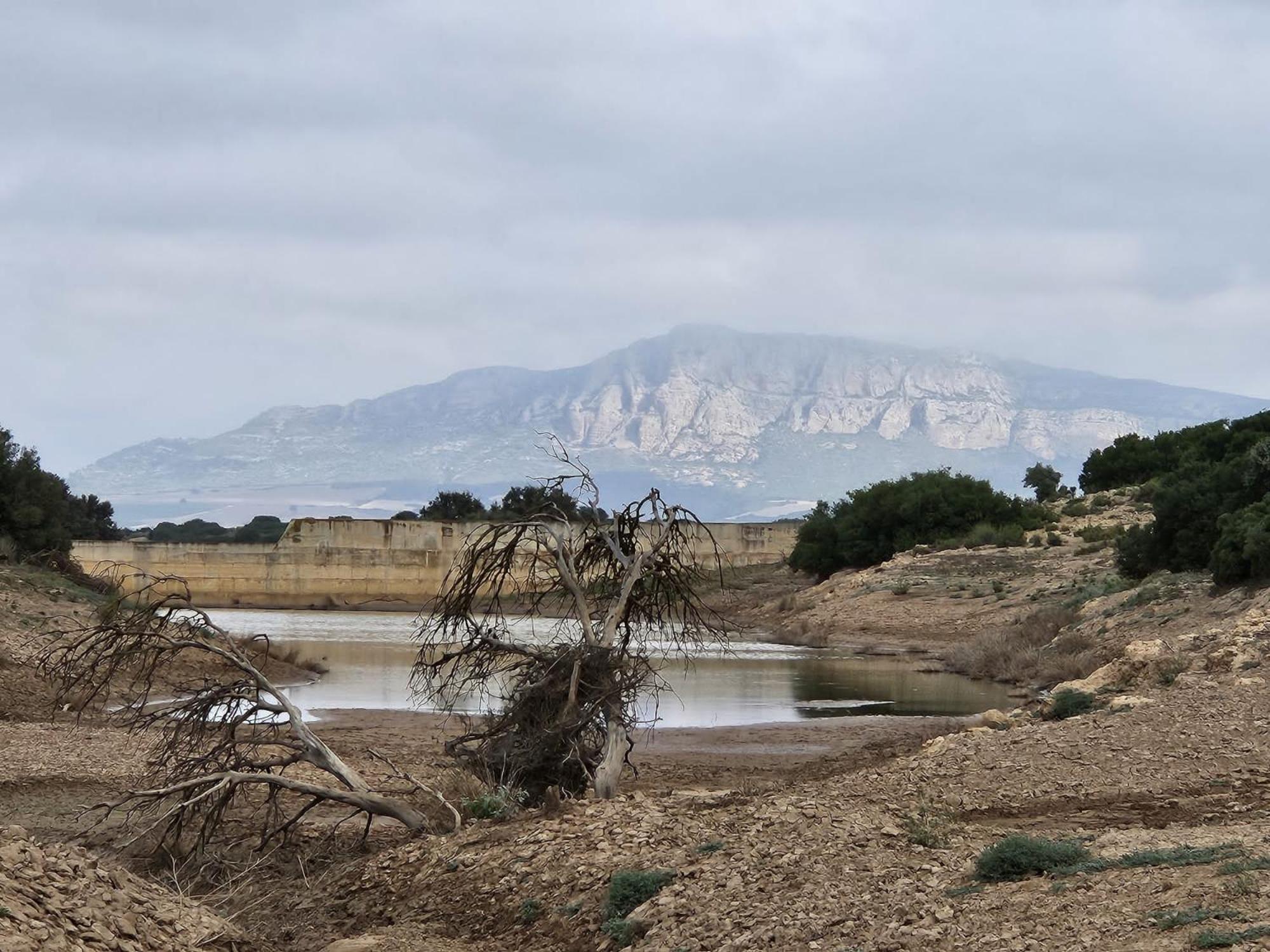 Finca Las Botas Almansa Zewnętrze zdjęcie